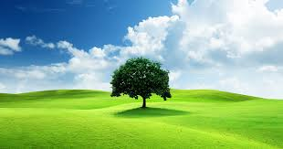 التعليم الطبي الذكي